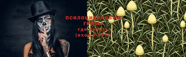 прущие крисы Козельск