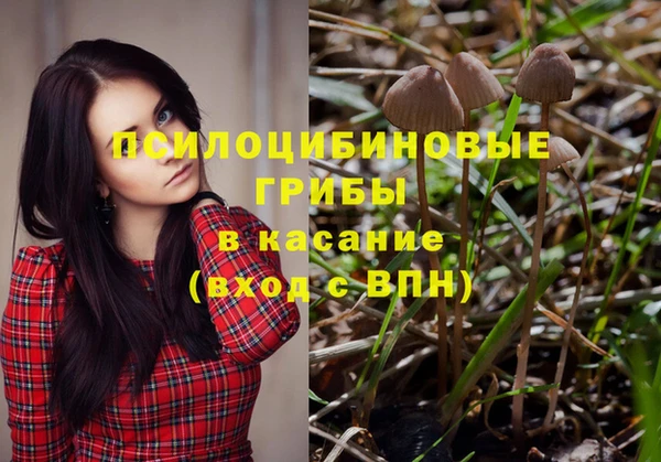spice Кодинск