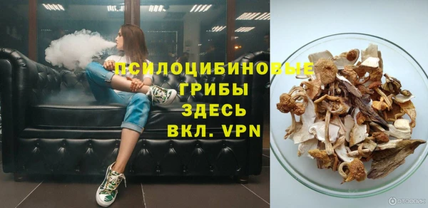 spice Кодинск