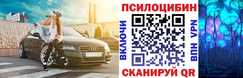 Галлюциногенные грибы прущие грибы  Купить  Льгов 